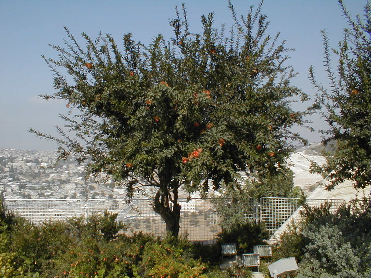 PA070003.JPG