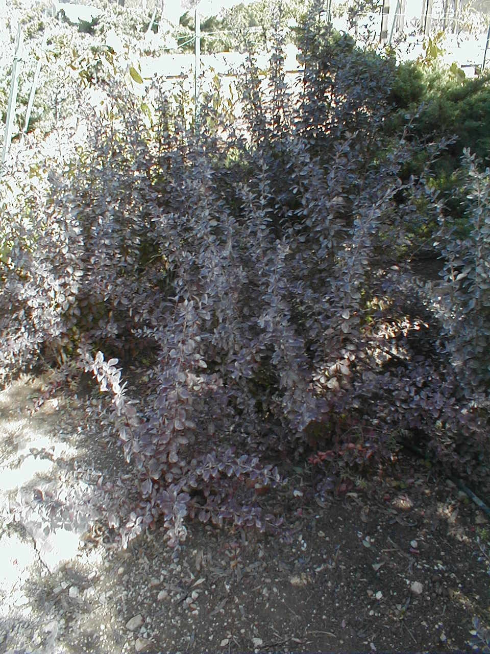 PA190013.JPG