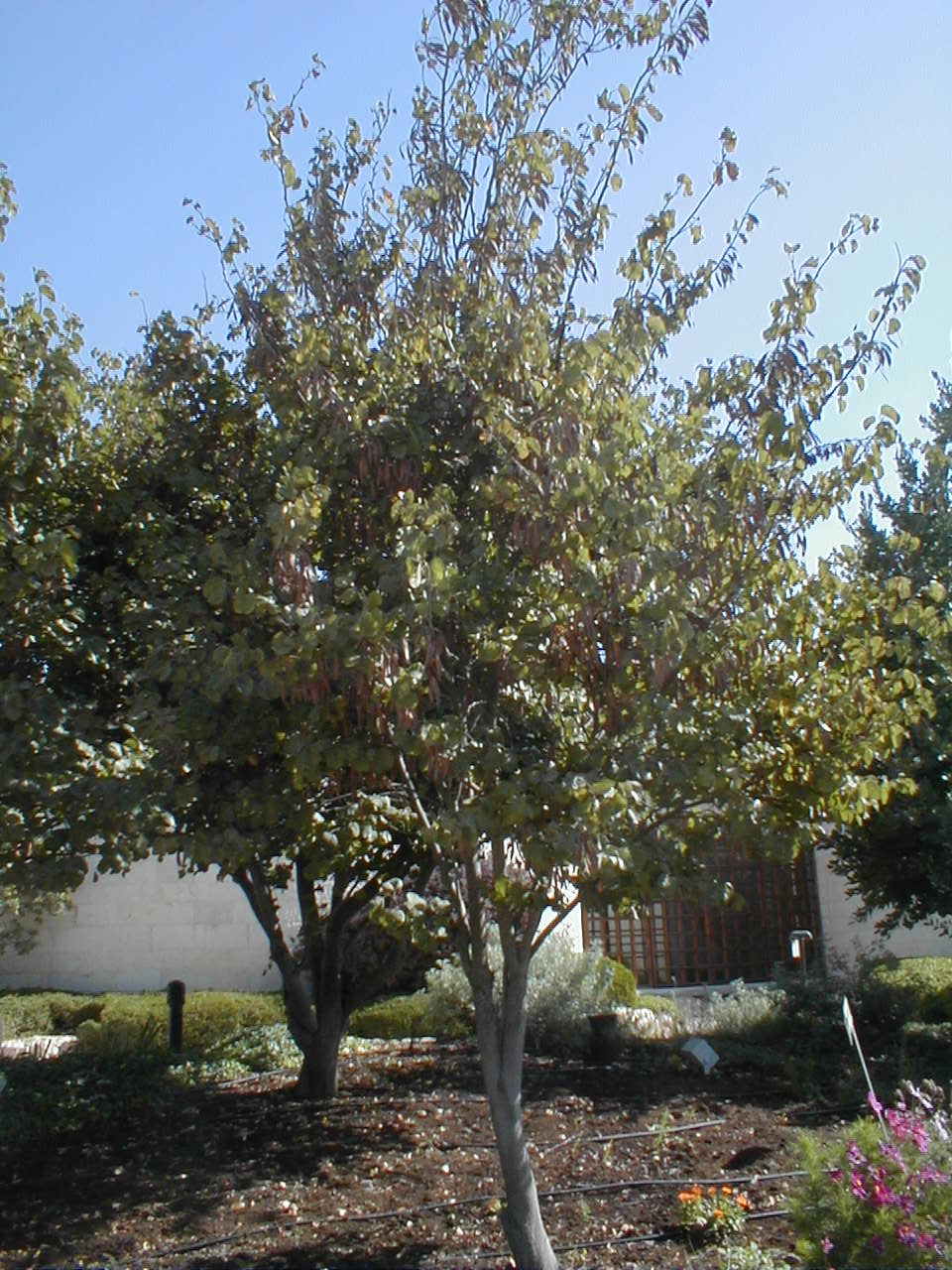 PA190018.JPG