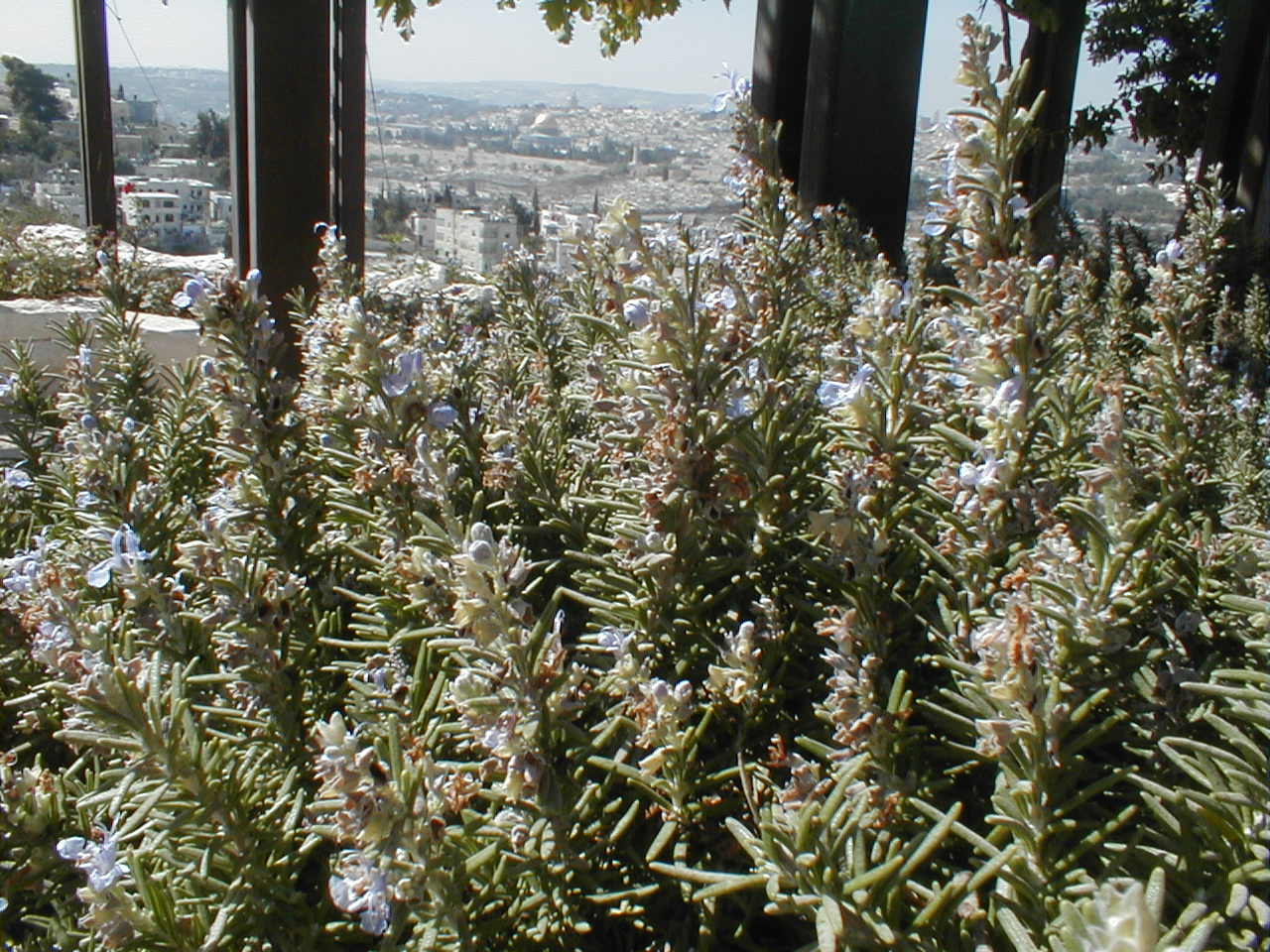 PA190019.JPG