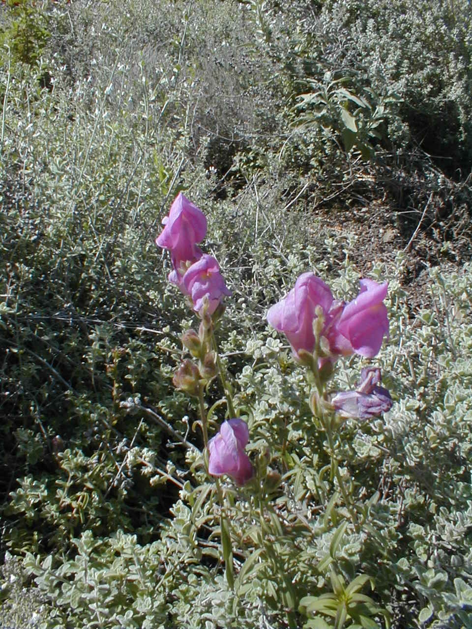 PA190023.JPG