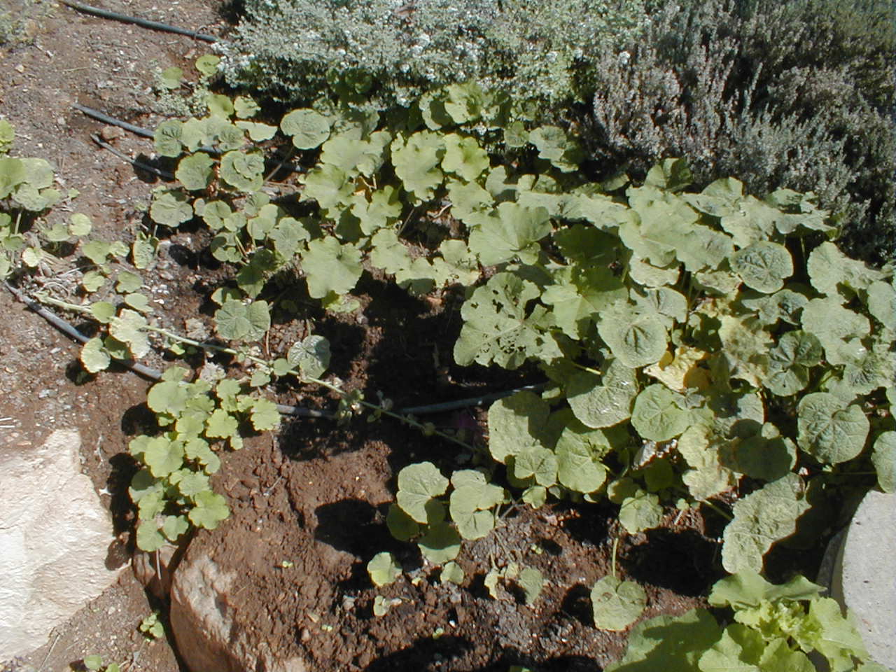 PA190026.JPG