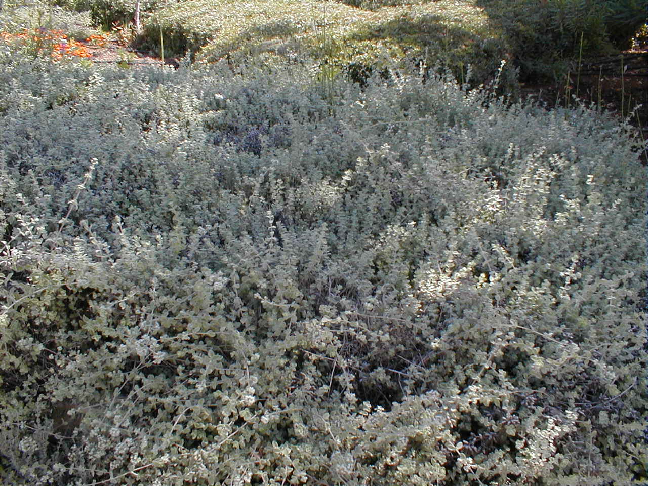 PA190027.JPG