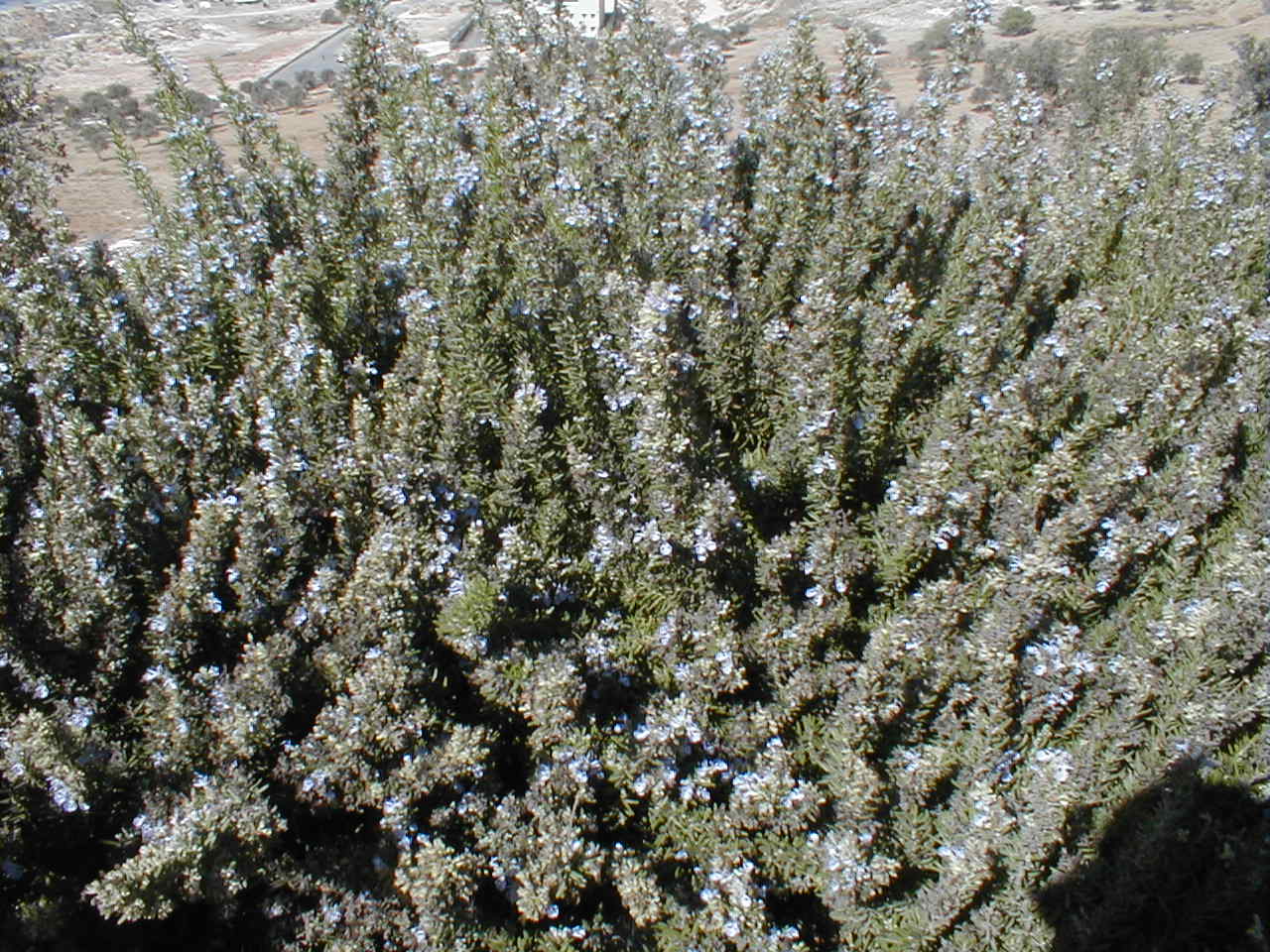 PA190028.JPG