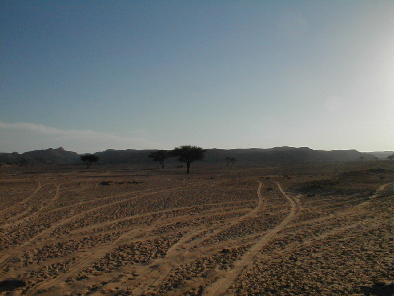 Bedouin Homeland on Sinai.JPG