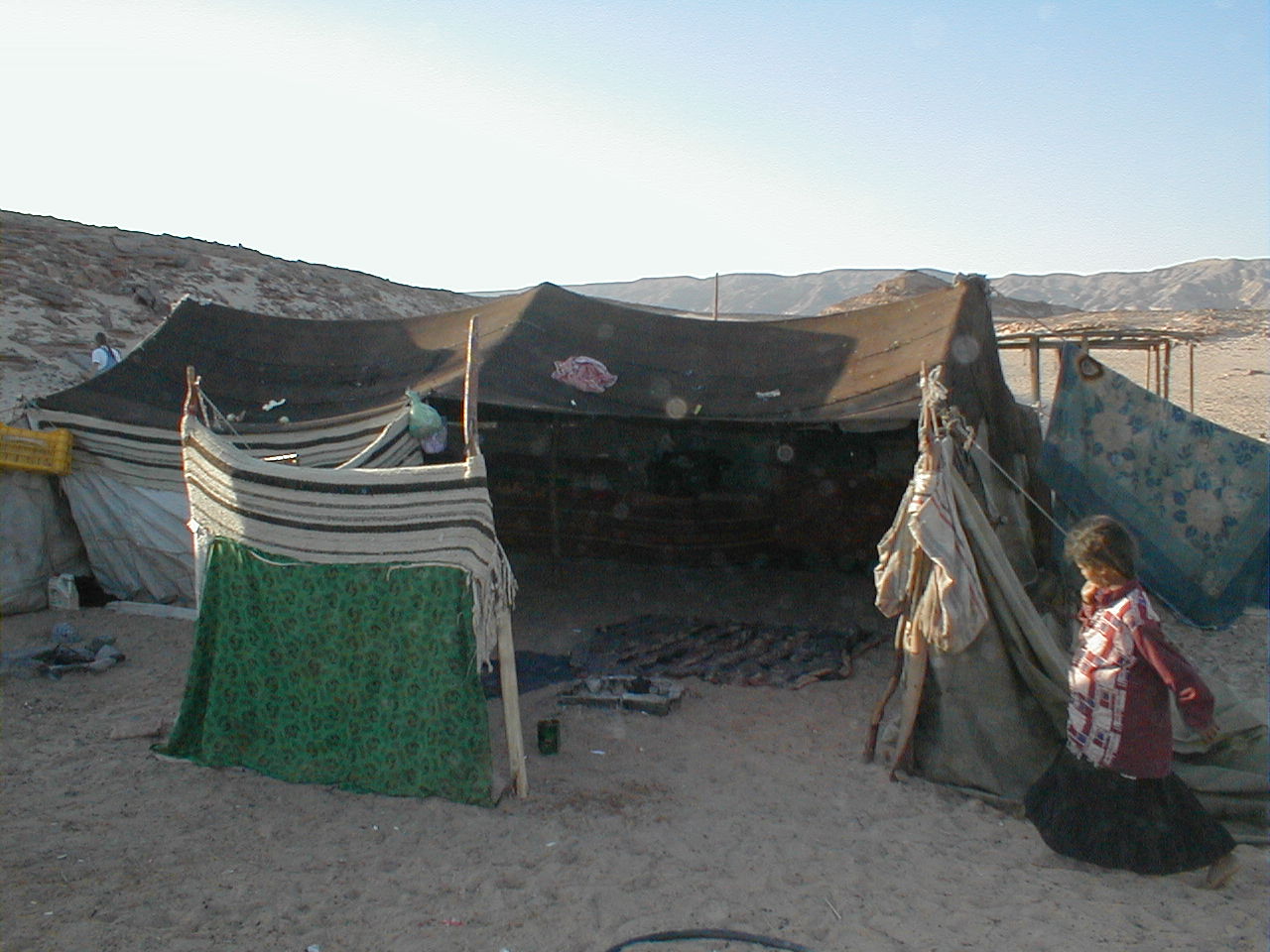 Bedouin Tent in Sinai.JPG
