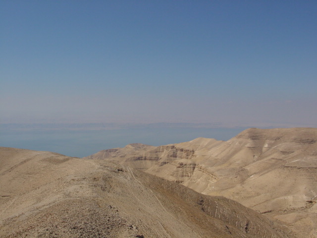 pic02.JPG