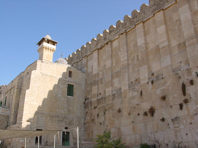 pic04.JPG