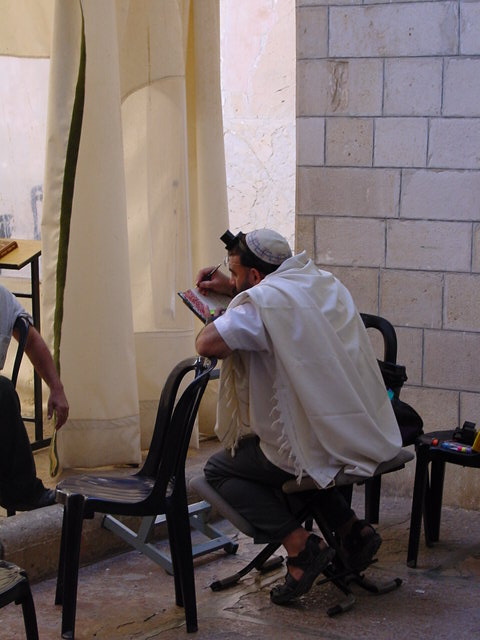 pic08.JPG