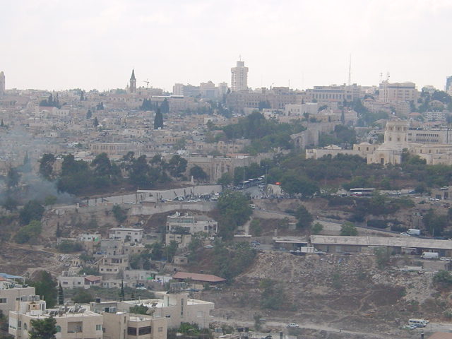 pic09.JPG