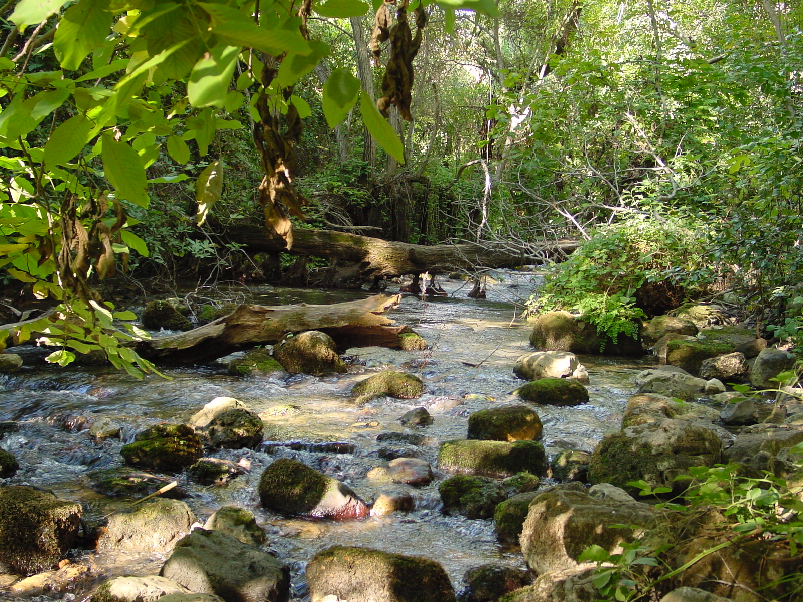pic06.JPG