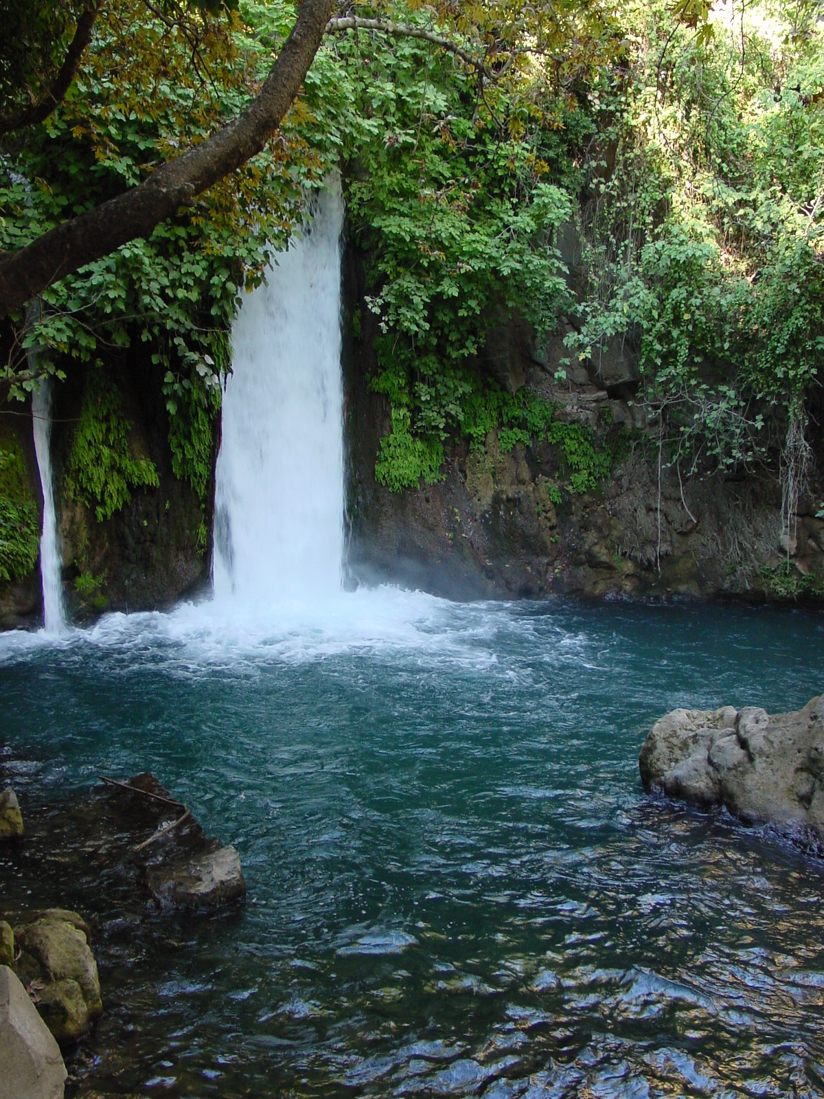 pic07.JPG