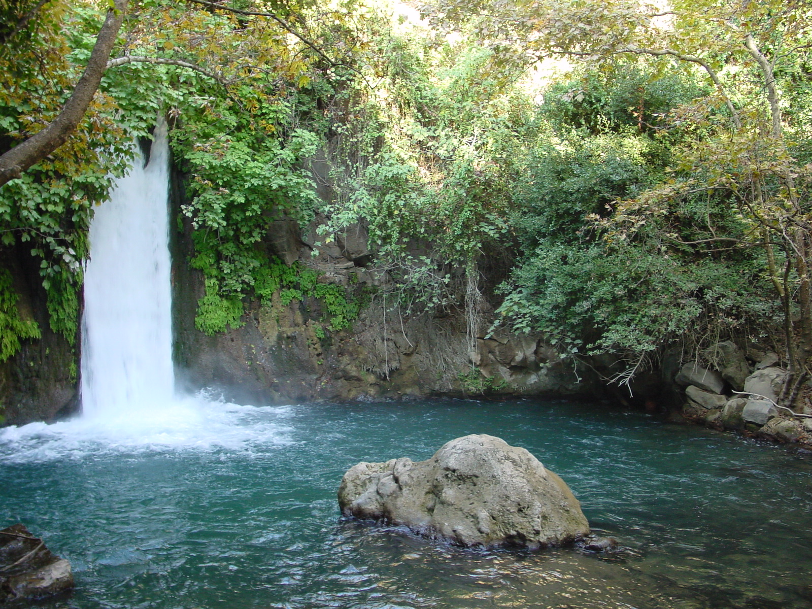 pic08.JPG