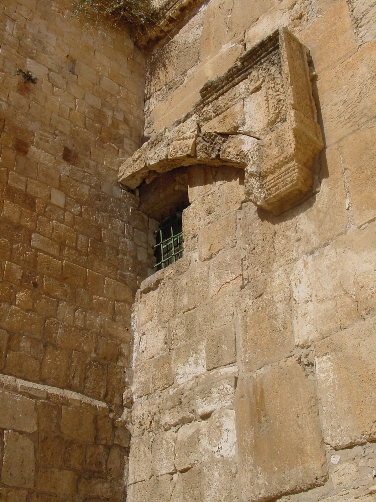 pic09.JPG